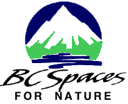 bc spaces logo